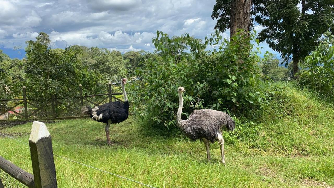 فندق Rancho Ecoturistico El Faro لا ميسا المظهر الخارجي الصورة