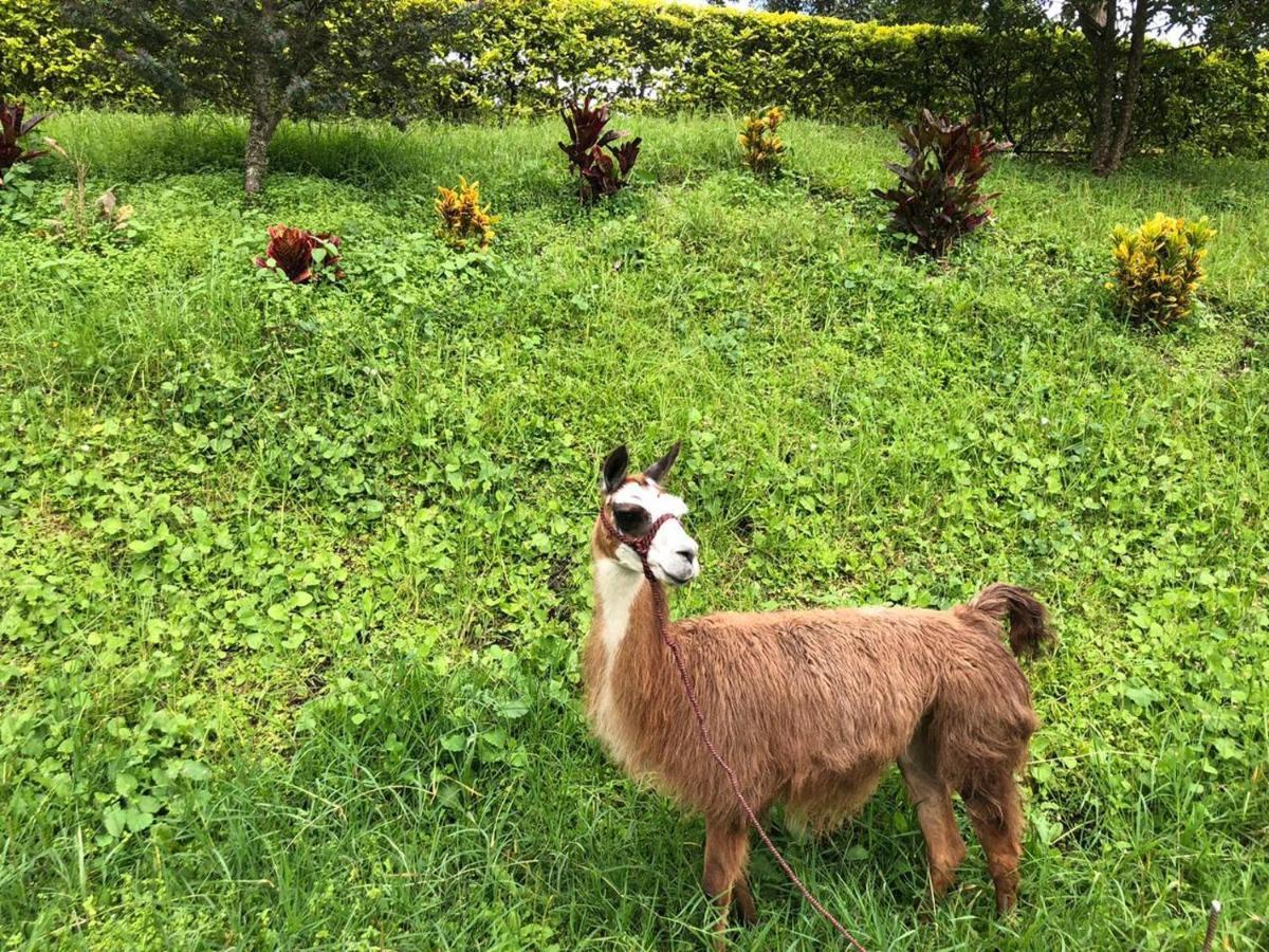 فندق Rancho Ecoturistico El Faro لا ميسا المظهر الخارجي الصورة