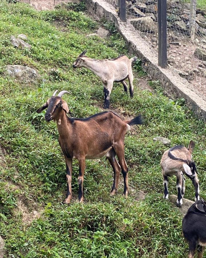 فندق Rancho Ecoturistico El Faro لا ميسا المظهر الخارجي الصورة